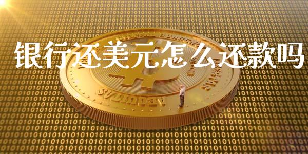 银行还美元怎么还款吗_https://m.jnlaobingbanjia.com_金融监管_第1张