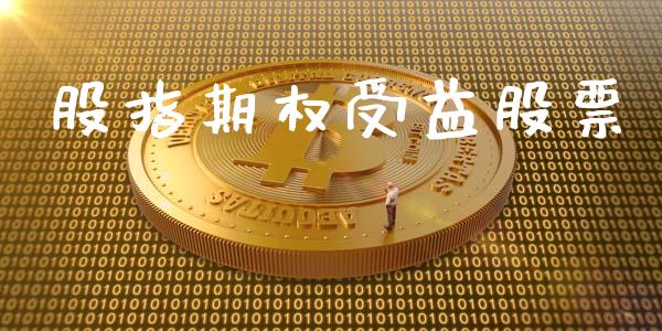股指期权受益股票_https://m.jnlaobingbanjia.com_基金市场_第1张
