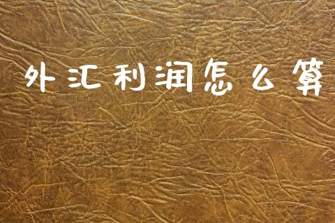 外汇利润怎么算_https://m.jnlaobingbanjia.com_全球市场_第1张