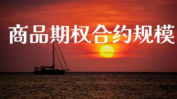 商品期权合约规模_https://m.jnlaobingbanjia.com_金融监管_第1张