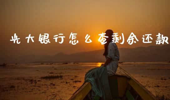光大银行怎么查剩余还款_https://m.jnlaobingbanjia.com_基金市场_第1张
