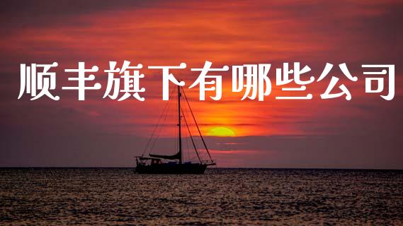顺丰旗下有哪些公司_https://m.jnlaobingbanjia.com_金融监管_第1张