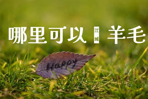 哪里可以薅羊毛_https://m.jnlaobingbanjia.com_理财规划_第1张