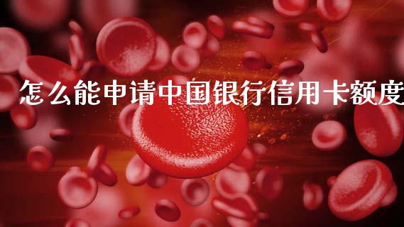 怎么能申请中国银行信用卡额度_https://m.jnlaobingbanjia.com_全球市场_第1张