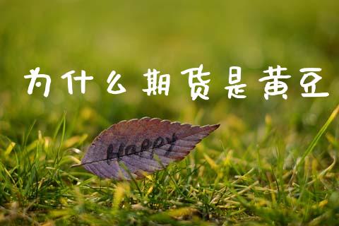 为什么期货是黄豆_https://m.jnlaobingbanjia.com_基金市场_第1张