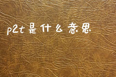 p2t是什么意思_https://m.jnlaobingbanjia.com_股市新闻_第1张