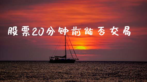 股票20分钟前能否交易_https://m.jnlaobingbanjia.com_金融监管_第1张