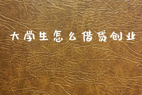 大学生怎么借贷创业_https://m.jnlaobingbanjia.com_区块链_第1张