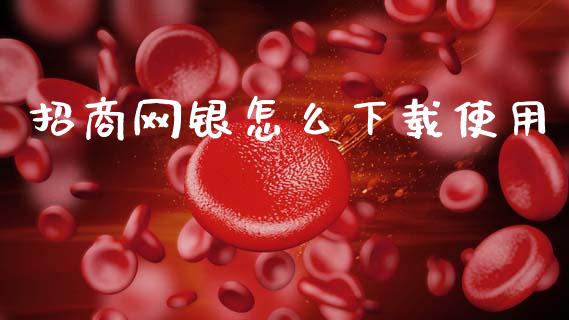 招商网银怎么下载使用_https://m.jnlaobingbanjia.com_金融监管_第1张