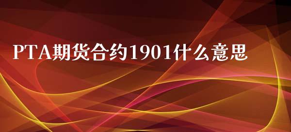 PTA期货合约1901什么意思_https://m.jnlaobingbanjia.com_股市新闻_第1张