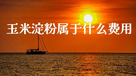 玉米淀粉属于什么费用_https://m.jnlaobingbanjia.com_基金市场_第1张