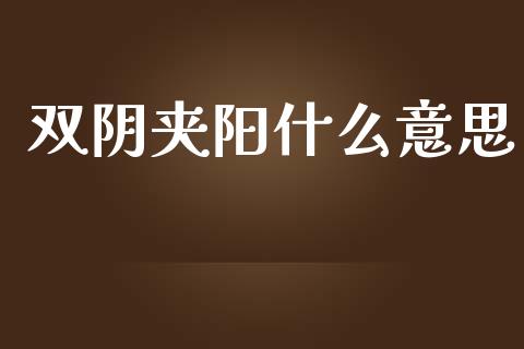 双阴夹阳什么意思_https://m.jnlaobingbanjia.com_全球市场_第1张