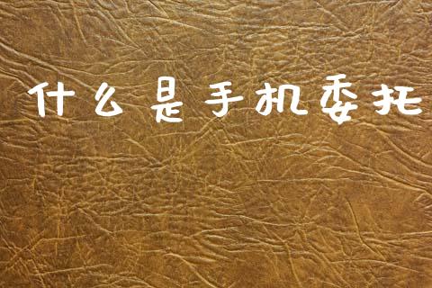 什么是手机委托_https://m.jnlaobingbanjia.com_金融监管_第1张