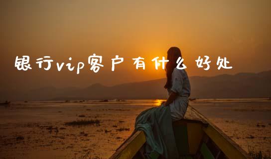 银行vip客户有什么好处_https://m.jnlaobingbanjia.com_股市新闻_第1张