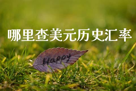 哪里查美元历史汇率_https://m.jnlaobingbanjia.com_理财规划_第1张