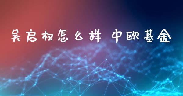 吴启权怎么样 中欧基金_https://m.jnlaobingbanjia.com_股市新闻_第1张