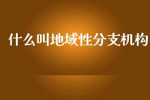 什么叫地域性分支机构_https://m.jnlaobingbanjia.com_全球市场_第1张