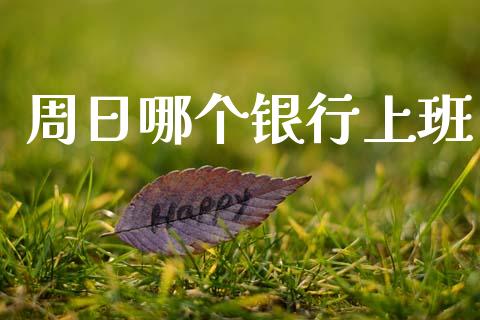 周日哪个银行上班_https://m.jnlaobingbanjia.com_基金市场_第1张