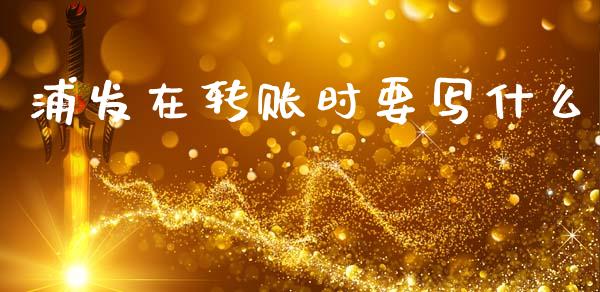浦发在转账时要写什么_https://m.jnlaobingbanjia.com_全球市场_第1张