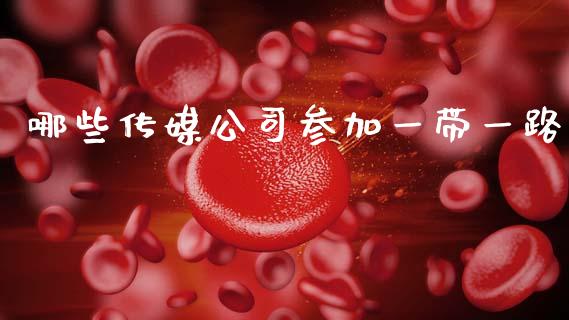 哪些传媒公司参加一带一路_https://m.jnlaobingbanjia.com_金融监管_第1张