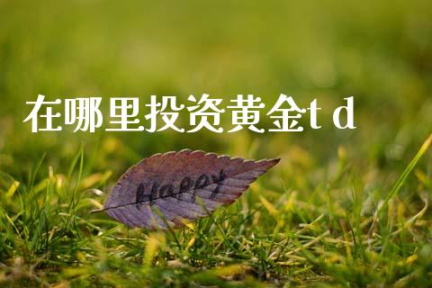 在哪里投资黄金t d_https://m.jnlaobingbanjia.com_金融监管_第1张