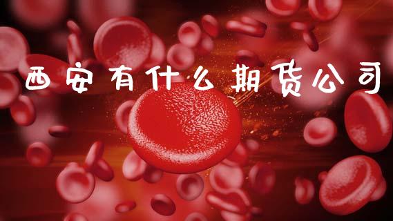 西安有什么期货公司_https://m.jnlaobingbanjia.com_理财规划_第1张