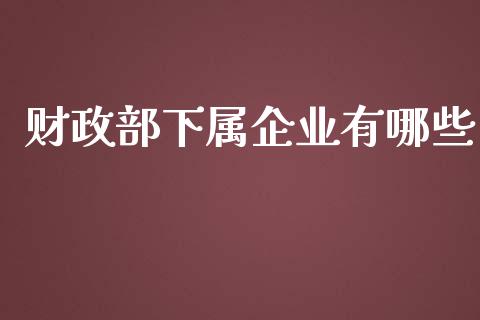 财政部下属企业有哪些_https://m.jnlaobingbanjia.com_基金市场_第1张