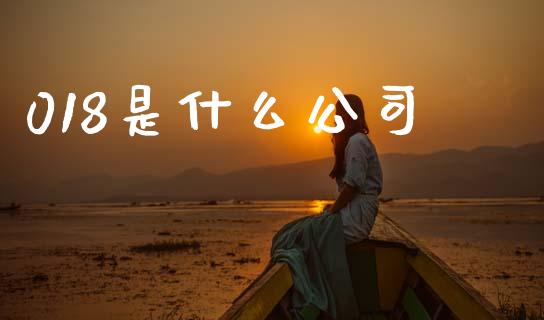 018是什么公司_https://m.jnlaobingbanjia.com_理财规划_第1张