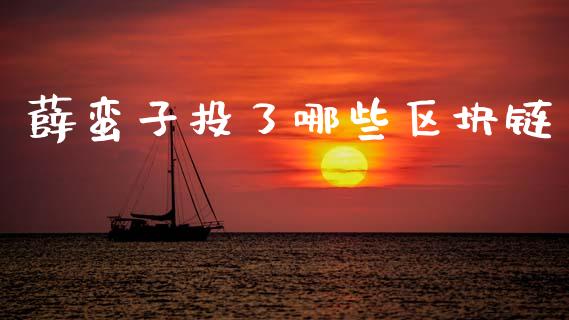薛蛮子投了哪些区块链_https://m.jnlaobingbanjia.com_基金市场_第1张