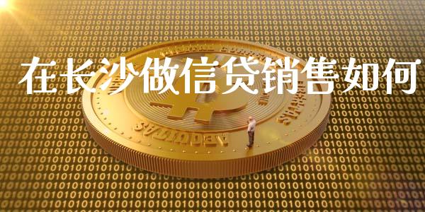 在长沙做信贷销售如何_https://m.jnlaobingbanjia.com_金融监管_第1张