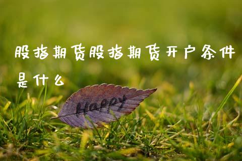 股指期货股指期货开户条件是什么_https://m.jnlaobingbanjia.com_基金市场_第1张