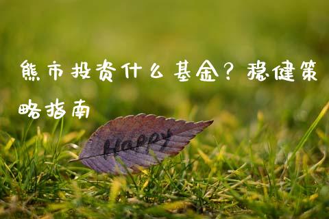 熊市投资什么基金？稳健策略指南_https://m.jnlaobingbanjia.com_基金市场_第1张
