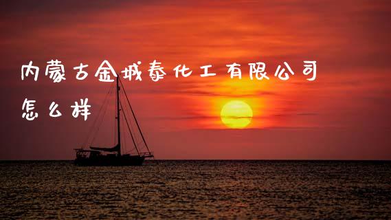 内蒙古金城泰化工有限公司怎么样_https://m.jnlaobingbanjia.com_金融监管_第1张