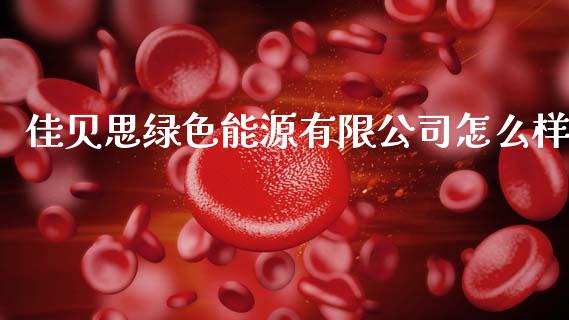 佳贝思绿色能源有限公司怎么样_https://m.jnlaobingbanjia.com_理财规划_第1张