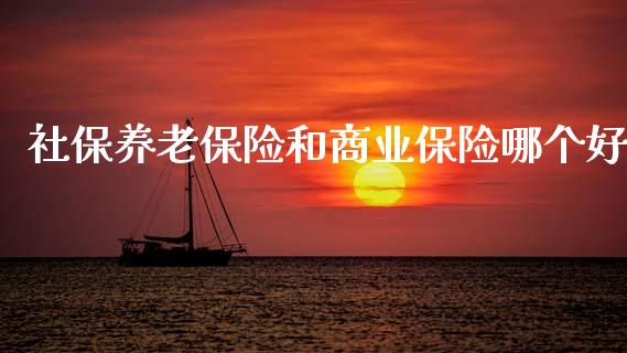 社保养老保险和商业保险哪个好_https://m.jnlaobingbanjia.com_全球市场_第1张
