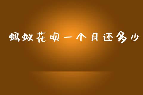 蚂蚁花呗一个月还多少_https://m.jnlaobingbanjia.com_金融监管_第1张