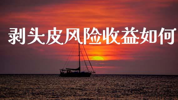 剥头皮风险收益如何_https://m.jnlaobingbanjia.com_金融监管_第1张