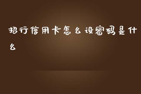 招行信用卡怎么设密码是什么_https://m.jnlaobingbanjia.com_理财规划_第1张