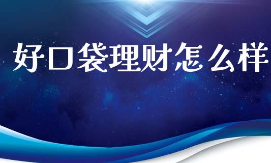 好口袋理财怎么样_https://m.jnlaobingbanjia.com_区块链_第1张