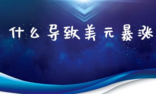 什么导致美元暴涨_https://m.jnlaobingbanjia.com_金融监管_第1张