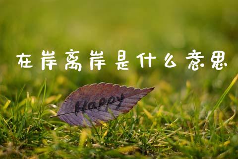 在岸离岸是什么意思_https://m.jnlaobingbanjia.com_金融监管_第1张