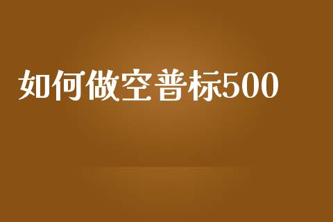 如何做空普标500_https://m.jnlaobingbanjia.com_理财规划_第1张