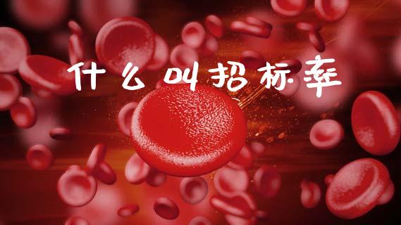 什么叫招标率_https://m.jnlaobingbanjia.com_理财规划_第1张
