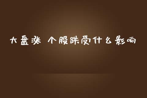 大盘涨 个股跌受什么影响_https://m.jnlaobingbanjia.com_基金市场_第1张