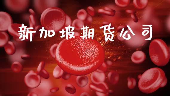 新加坡期货公司_https://m.jnlaobingbanjia.com_金融监管_第1张