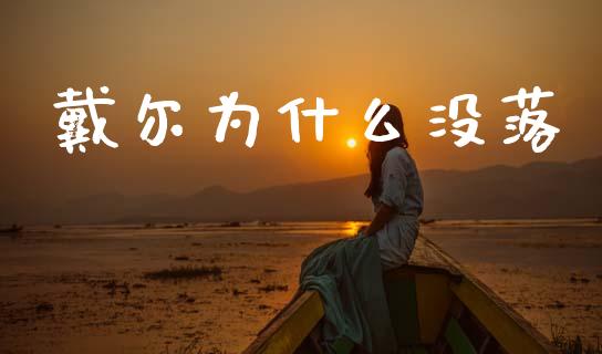 戴尔为什么没落_https://m.jnlaobingbanjia.com_全球市场_第1张