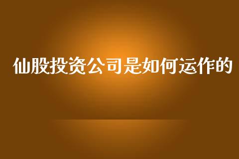 仙股投资公司是如何运作的_https://m.jnlaobingbanjia.com_金融监管_第1张