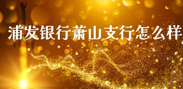 浦发银行萧山支行怎么样_https://m.jnlaobingbanjia.com_金融监管_第1张