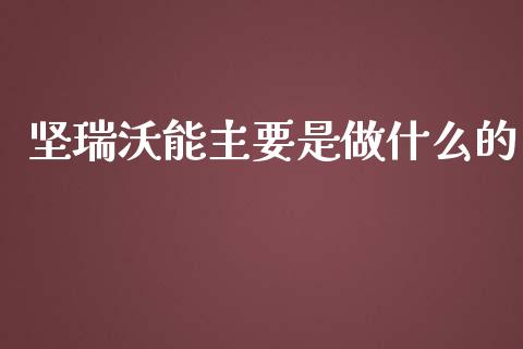 坚瑞沃能主要是做什么的_https://m.jnlaobingbanjia.com_区块链_第1张