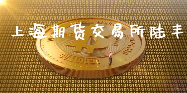 上海期货交易所陆丰_https://m.jnlaobingbanjia.com_理财规划_第1张